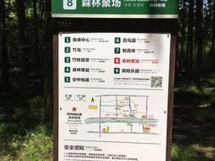 -黄海国家森林公园