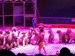 -西安秦岭野生动物园