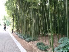 -苏州河梦清园环保主题公园