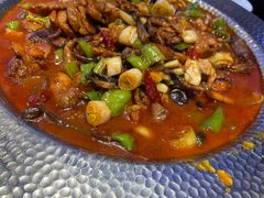 -俭寨大盘鸡·缸子肉·小公鸡·新疆菜(云通店)