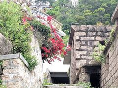-花竹村