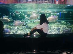 -成都浩海立方海洋公园