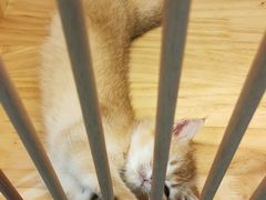 -中粮万科长阳半岛