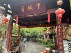 -青城甲(青城山店)