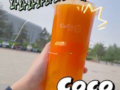 沙棘摇摇冻-CoCo都可(凌水店)