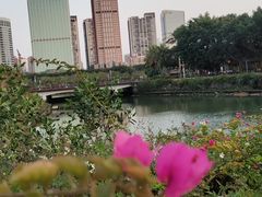 -万绿园