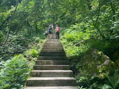 -西安祥峪森林公园