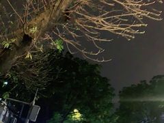 -得记得潮州海鲜砂锅粥(宝业路店)