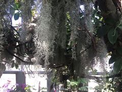-北京植物园-展览温室