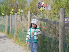 -前小桔亲子创意农场·草莓采摘·露营烧烤