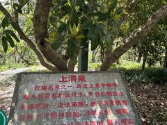 -上海佘山国家森林公园天马山园