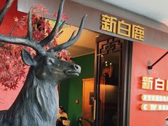 -新白鹿餐厅(银泰西湖文化广场店)