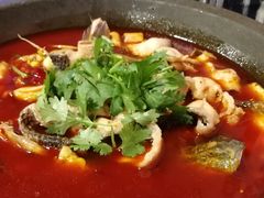 -虎虎龙虾大排档(双井店)