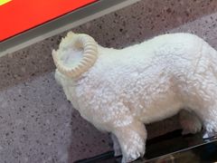 -古彭7只羊·徐州烧烤(旗舰店)