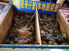 -南沙十九涌渔人码头-南门