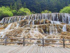 -黄龙山原始森林景区