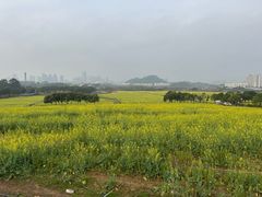 -光明小镇欢乐田园