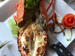 -Red Lobster