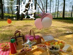 -顺峰山公园