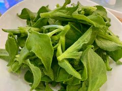 冰草-金时代顺风大酒店(协泰店)