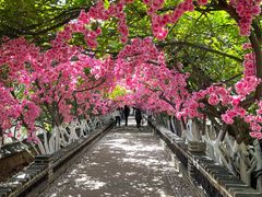 -烟台山景区