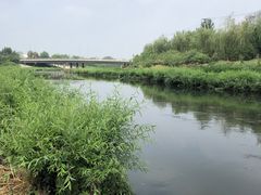 -石榴庄公园