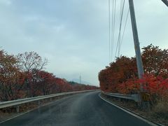 -大岭沟猕猴桃谷风景区