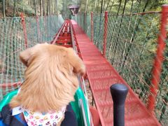 -藏龙百瀑风景区