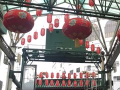 -罗汉果龙眼冰糖燉冬瓜