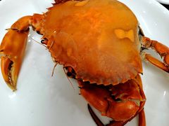 -杨记海鲜楼(三门黑金冠店)