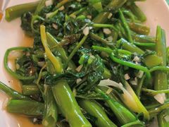 蒜泥空心菜-四姑娘山阿巴郎·藏式花园餐厅