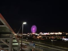 -台场海滨公园船码头