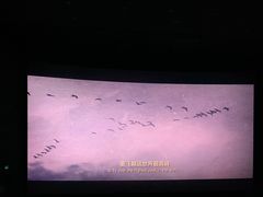 -红星电影世界上海张江绿地店