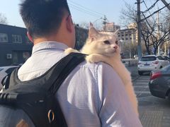 -康乐宝动物医院