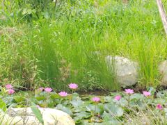 -海南热带雨林国家公园吊罗山景区
