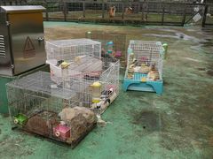 -前小桔亲子创意农场·草莓采摘·露营烧烤