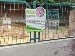 -保定市动物园