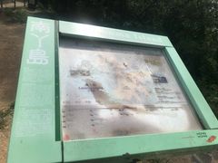 -南丫岛