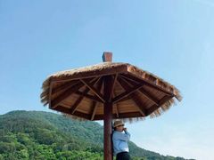 -锄山村