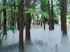 -东湖落雁景区