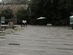 -老房子金沙元年川菜食府·花园餐厅(金沙店)