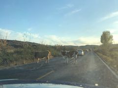 -塞罕坝国家级自然保护区