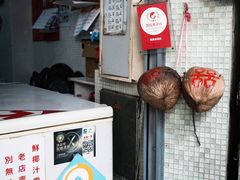-洪馨椰子