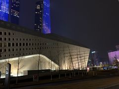 -南京国际青年文化中心