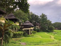 -四季酒店下午茶