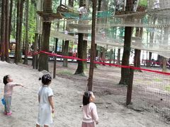 -武陵山森林公园