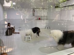 -TrueLove @ Neverland (Husky Cafe)