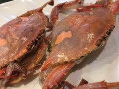 -大清花饺子(五五路店)