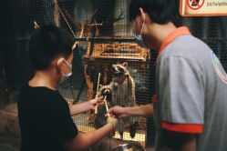 -酷嗒动物文化乐园(cutezoo西溪乐天城店)