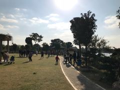 -鹅湖玫瑰文化园
